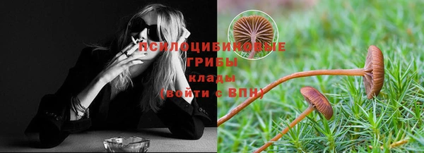 мет Аркадак