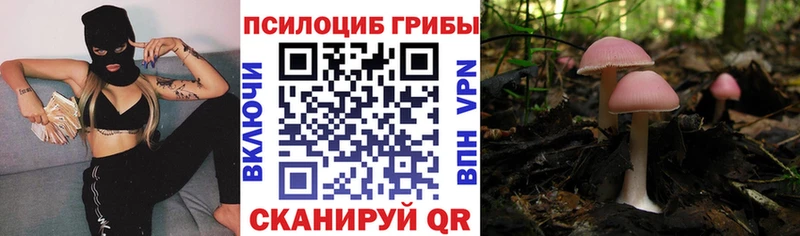 Псилоцибиновые грибы мухоморы  Циолковский 