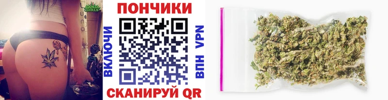 Шишки марихуана планчик  Циолковский 